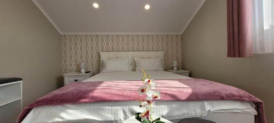 バイレ・ウヌ・マイ Casa Leahu Bed & Breakfast エクステリア 写真